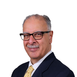 Nawshir Mirza, Former Senior Partner, S. R. Batliboi & Co.